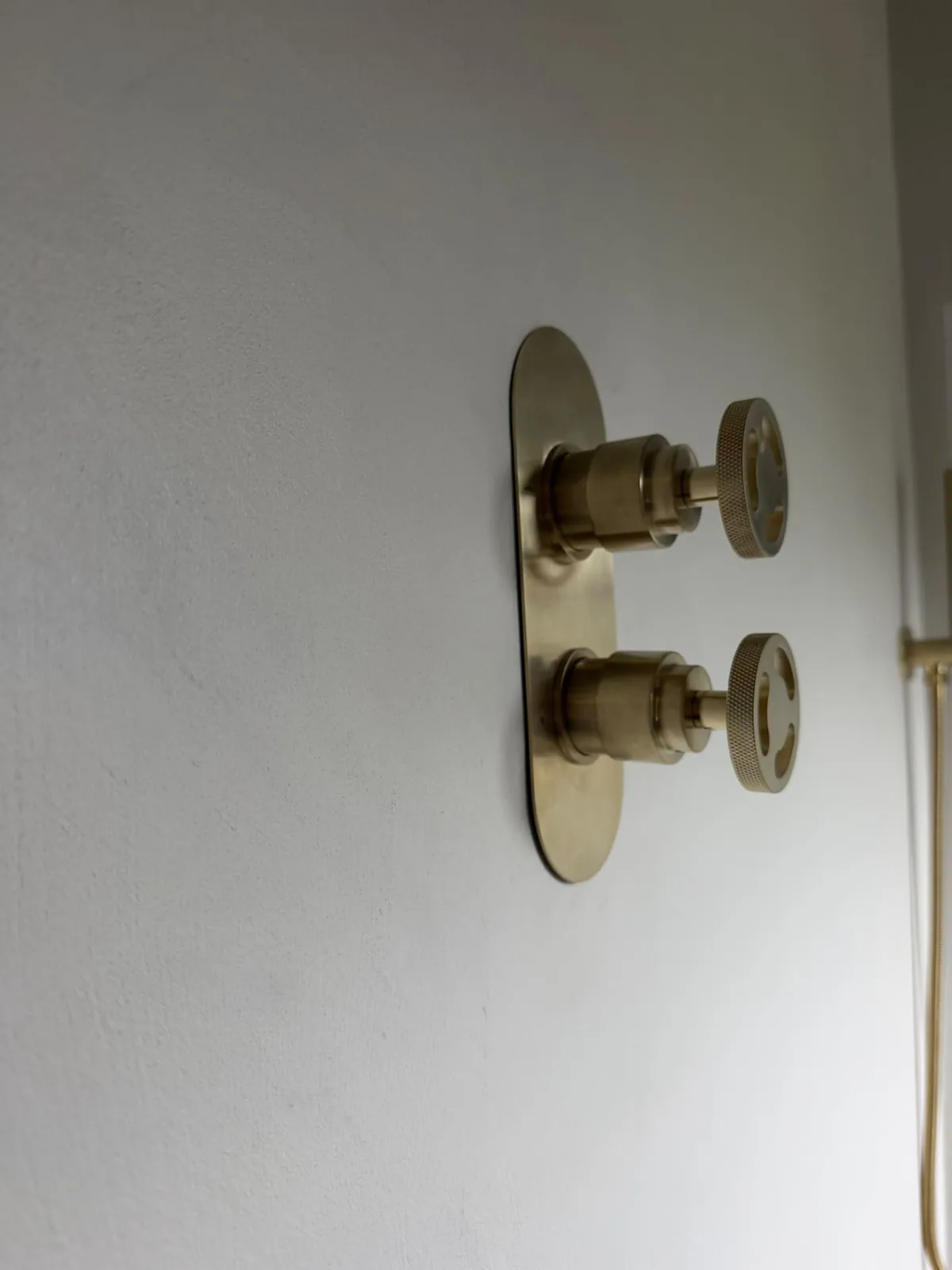 Brass shower controls on a microcement wall in a seamless wet room